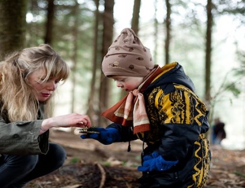 Forest School – Kindlings Group 2-6yrs, Every Wednesday